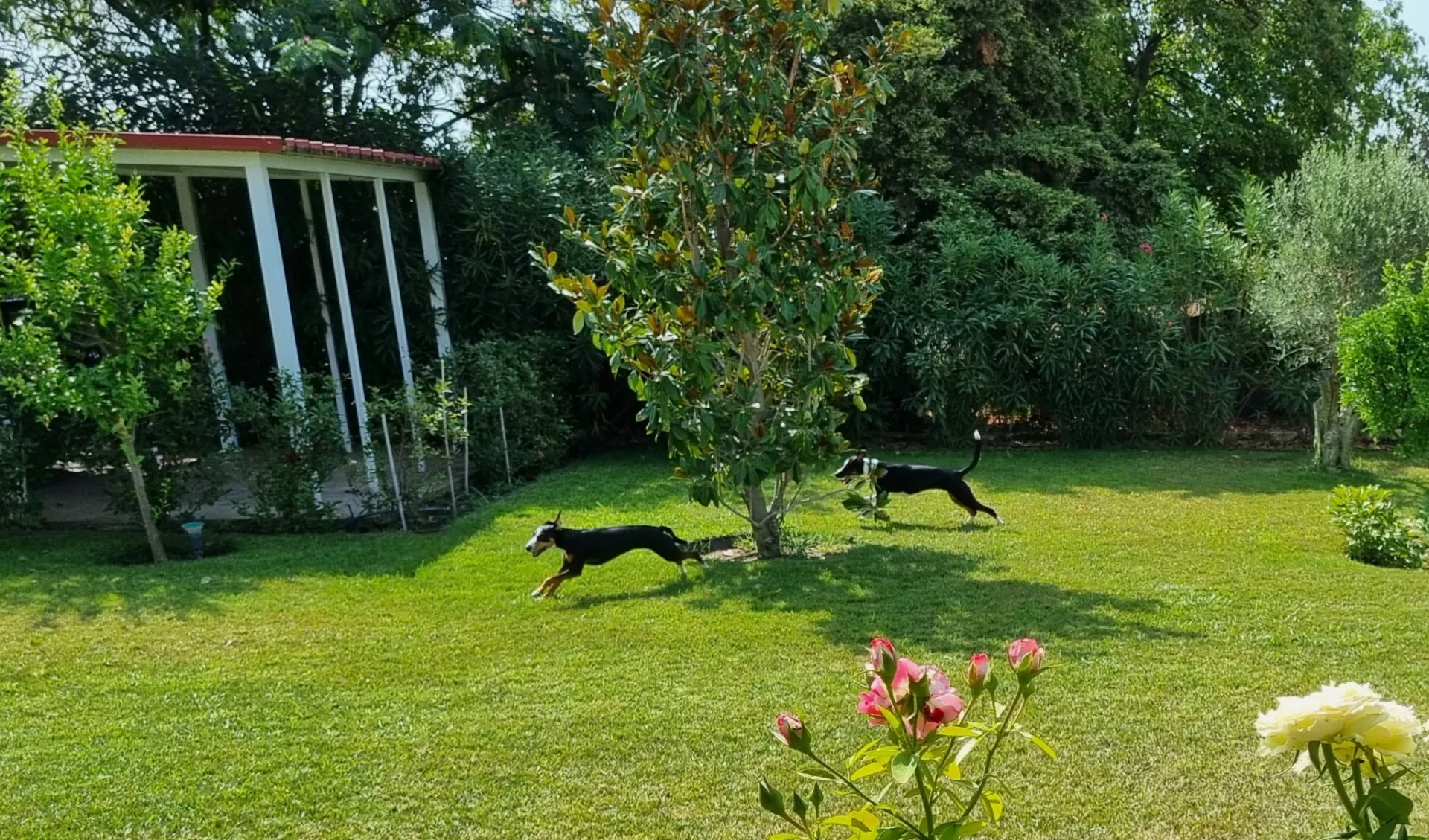 150b69f5 3bf8 4393 a305 c233529a48db 1