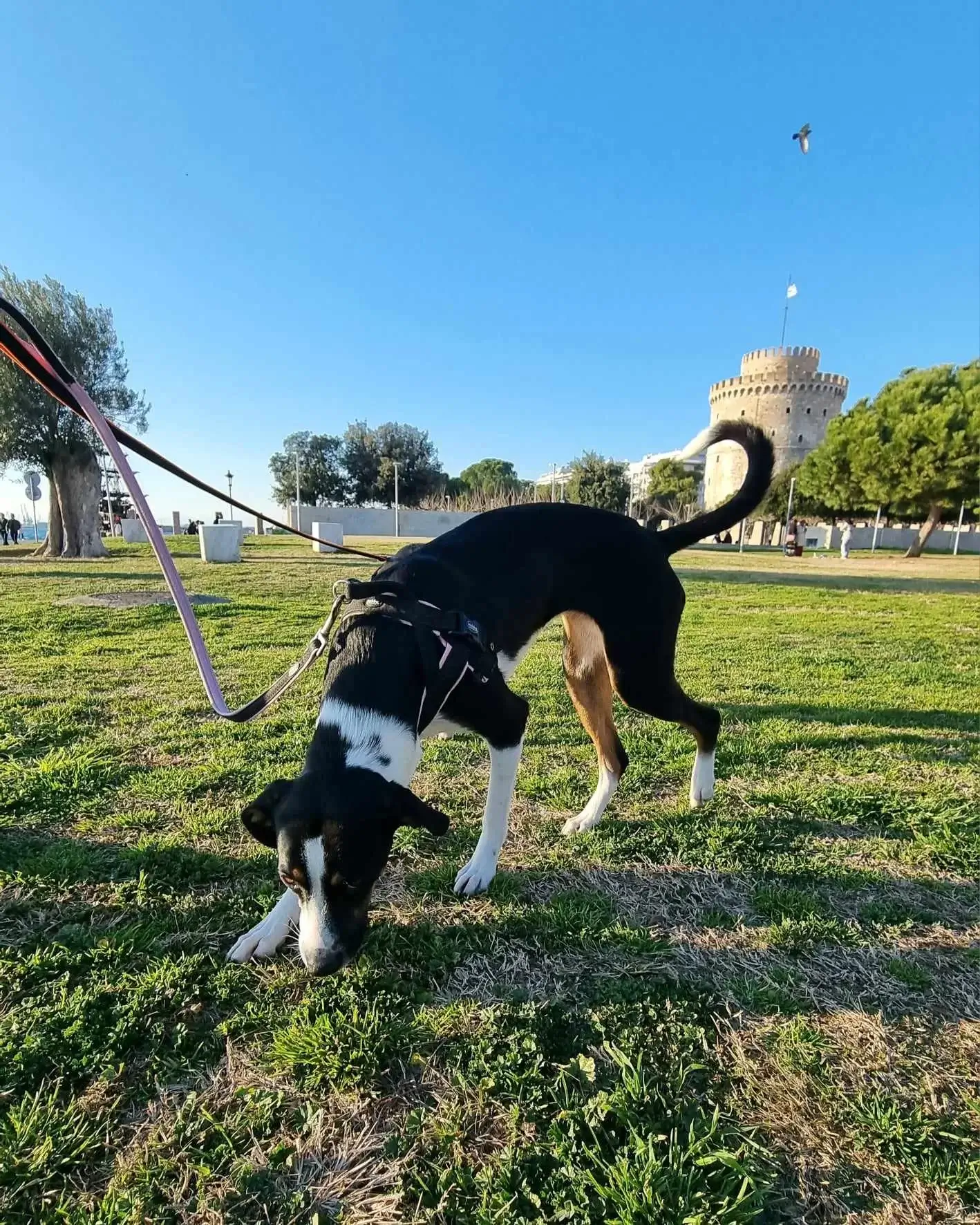 423062946 1106078133757972 5184442583838753973 n