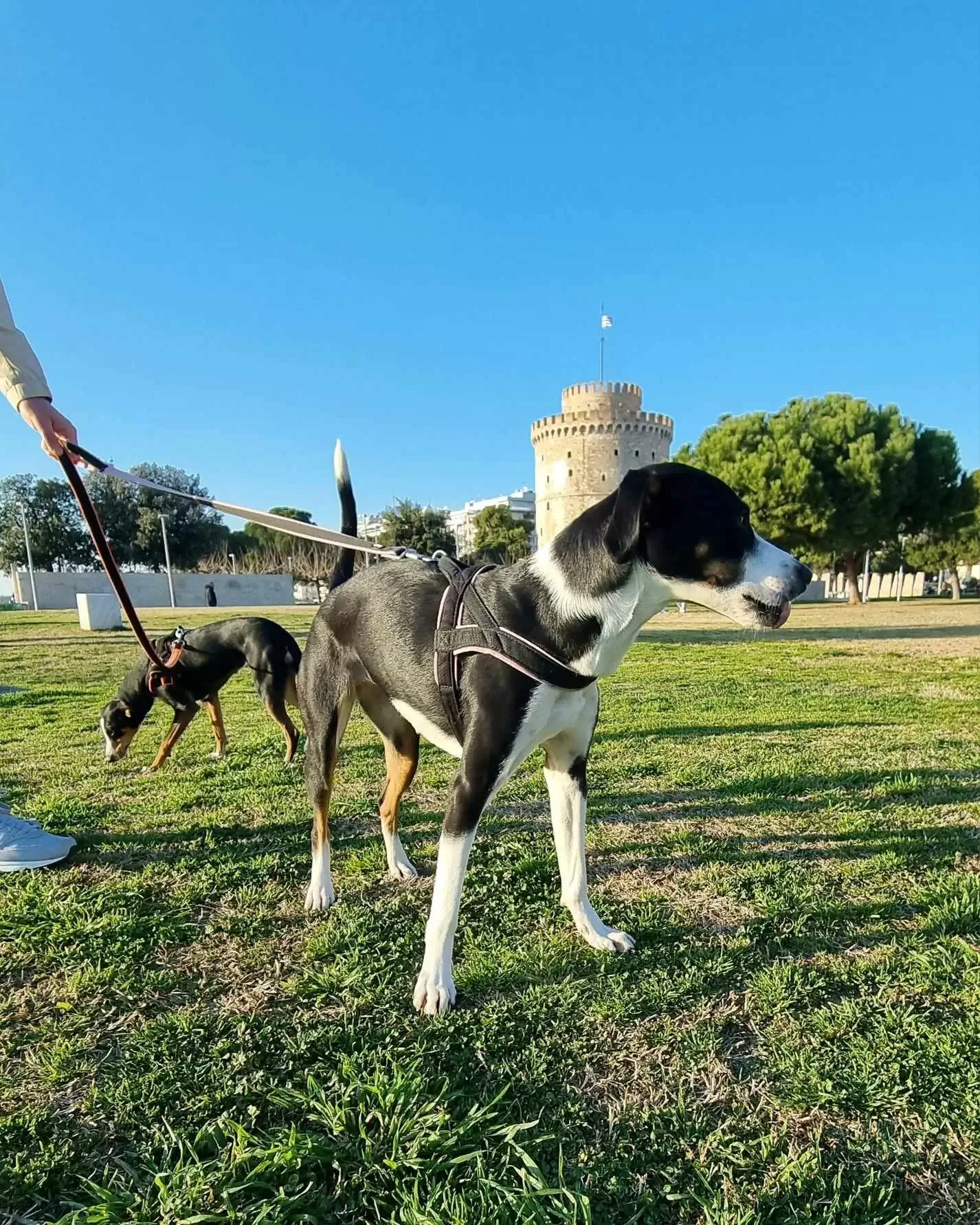 428226550 707604454732606 2941756079682311729 n