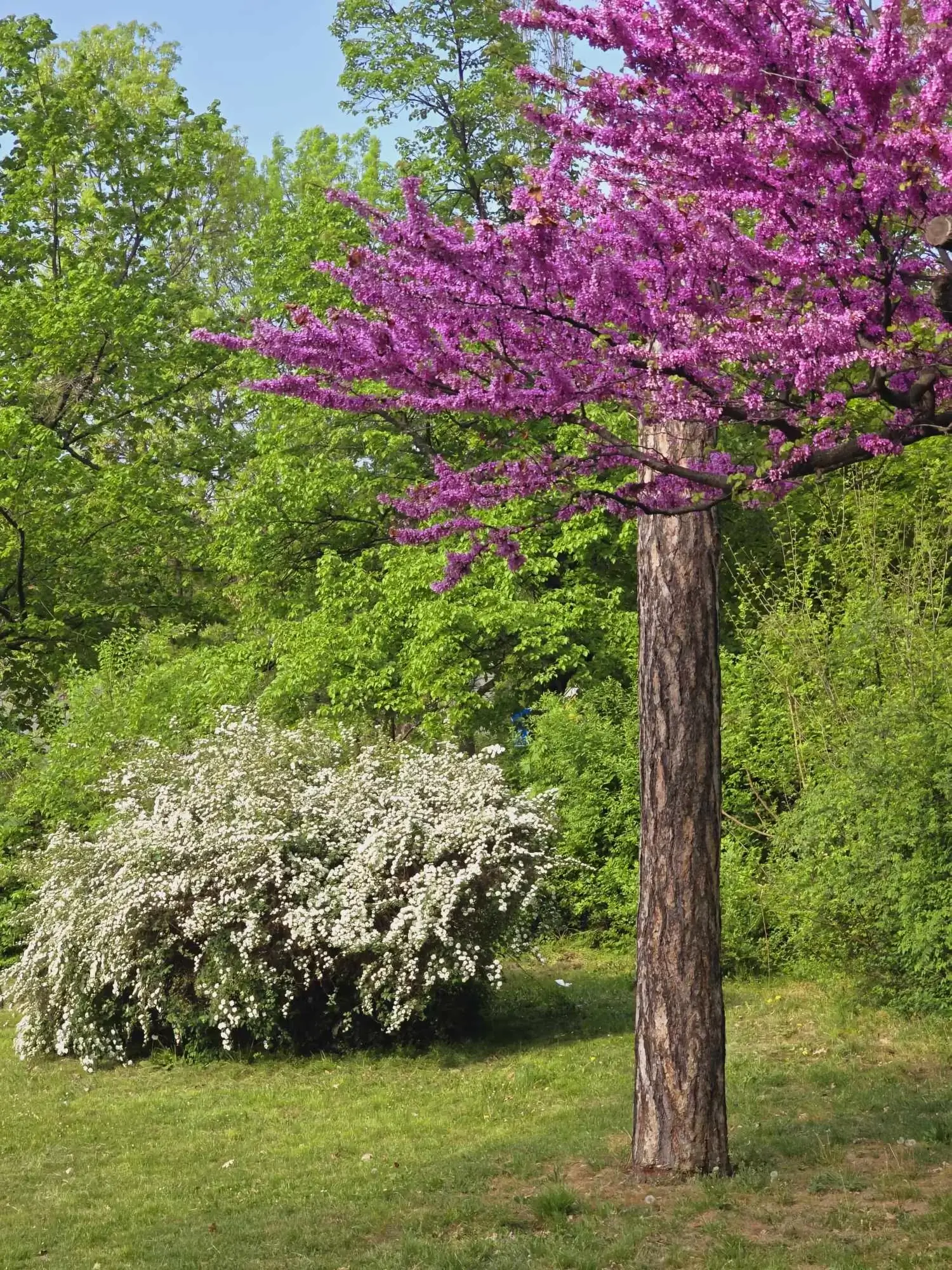 434702976 945232737293788 5305151698705623002 n