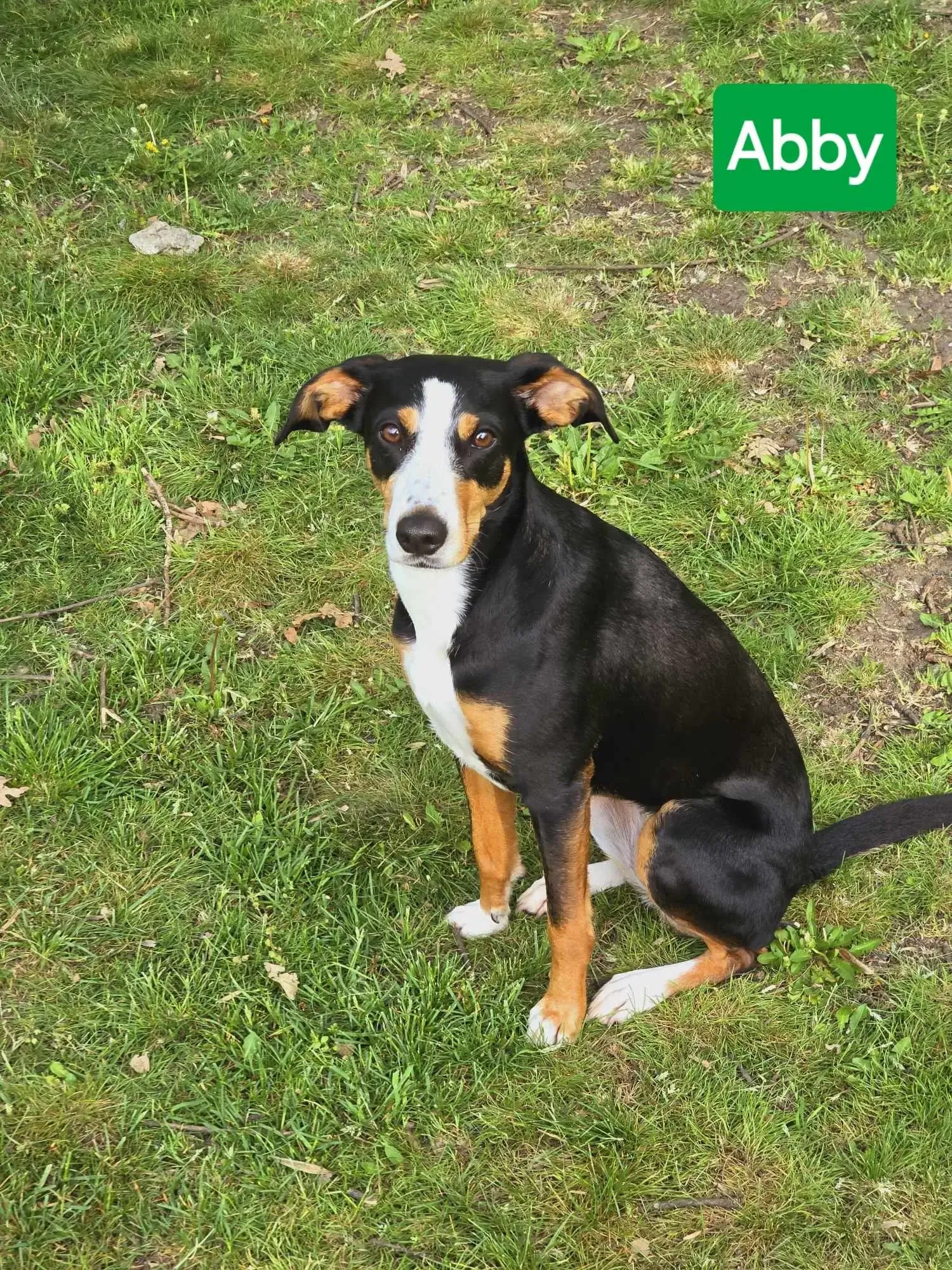 434724172 414151054651934 2745878234335301491 n