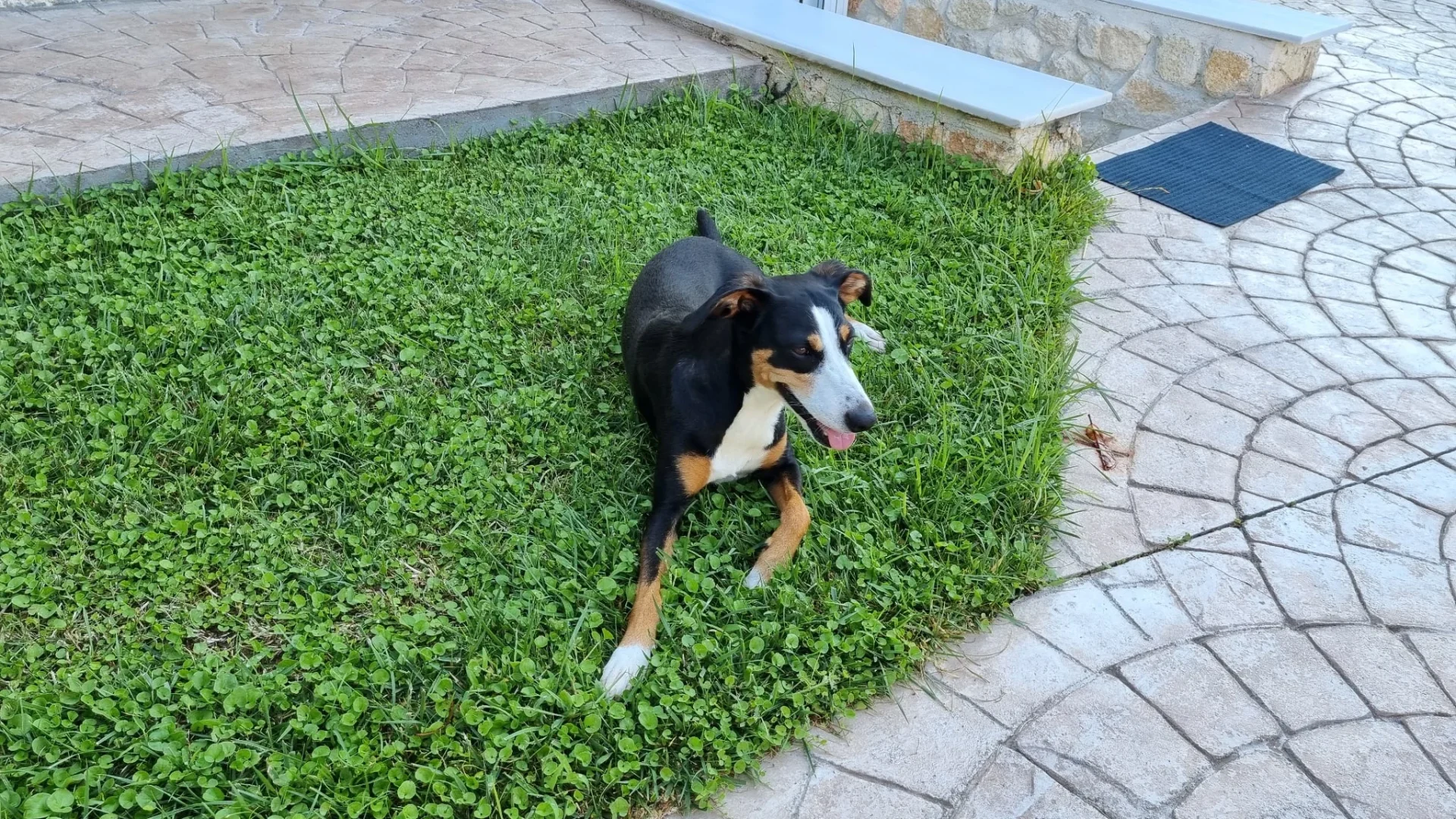 6f75d1e4 0f4b 478b 963c b8c7c98a447f